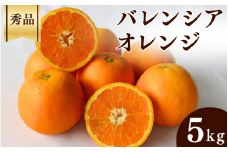 ＜先行予約＞バレンシアオレンジ【秀品】5kg ※2025年6月中旬～7月下旬頃に順次発送予定【期間限定・数量限定】 / 柑橘 季節限定 お取り寄せ 産地直送 贈答品 ギフト 果物 フルーツ 田辺市 和歌山県【ymh012】