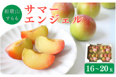 ＜先行予約＞すもも（サマーエンジェル）4パック ※2025年6月下旬～7月上旬頃に順次発送予定【期間限定・数量限定】 / スモモ プラム 冷蔵 季節限定 お取り寄せ 産地直送 贈答品 ギフト 果物 フルーツ 田辺市 和歌山県【ymh013】