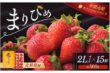 ＼先行予約／ 【化粧箱付き】 いちご まりひめ 2Lサイズ 約500g（15粒） 2025年12月頃から順次発送 / いちご 和歌山 果物 フルーツ 野菜 苺 冷蔵 冬 ギフト 贈答 12月 1月 2月 【tcs001】