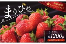 ＼先行予約／ いちご まりひめ 【ご家庭用】 約300g×4パック M～3Lサイズ （サイズ指定不可） 2025年12月頃から順次発送 / いちご まりひめ 和歌山ブランド イチゴ 和歌山 果物 フルーツ 野菜 苺 冷蔵 冬 家庭用 12月配送 1月配送 2月配送 【tcs003】