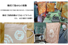 梅枝で染物体験ができるペアチケット /  体験 手作り 染物 リラックス  和歌山 田辺市  チケット ペアチケット ハンドメイド【grt006-1】