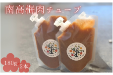 南高梅肉チューブ 180g×2 / ねり梅 練り梅 紀州南高梅 南高梅 梅肉 調味料 和歌山県 田辺市【nak045-1】