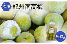 冷凍南高梅 500g / 紀州南高梅 南高梅 青梅 梅 ウメ うめしごと 紀州 梅酒 梅ジュース 梅シロップ 和歌山県 田辺市 【kng011】