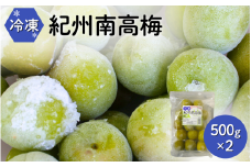 冷凍南高梅 500g×2 / 紀州南高梅 南高梅 青梅 梅 ウメ うめしごと 紀州 梅酒 梅ジュース 梅シロップ 和歌山県 田辺市 【kng012】