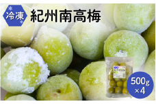 冷凍南高梅 500g×4 / 紀州南高梅 南高梅 青梅 梅 ウメ うめしごと 紀州 梅酒 梅ジュース 梅シロップ 和歌山県 田辺市 【kng013】