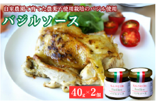 手作りバジルソース　40g×2個 / バジル ソース パスタ 手作り 料理 アレンジ 自家農園 農薬不使用栽培 万能ソース 和歌山 龍神 【mpt001】
