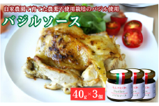 手作りバジルソース　40g×3個 / バジル ソース パスタ 手作り 料理 アレンジ 自家農園 栽培期間中農薬不使用栽培 万能ソース 和歌山 龍神 【mpt002】
