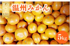 温州みかん 5kg（MサイズまたはLサイズ） ※2024年11月中旬～12月下旬頃に順次発送予定【期間限定・数量限定】 / みかん 蜜柑 5キロ お取り寄せ 産地直送 贈答品 ギフト 果物 くだもの フルーツ 田辺市 和歌山県【ymh015】