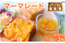 マーマレード おまかせ3種セット（150g×3） / ジャム オレンジ みかん 柑橘 手づくり ビン 詰め合わせ 食べ比べ 和歌山県 田辺市【ktr018】