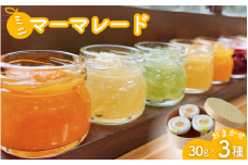 ミニマーマレード おまかせ3種セット（30g×3） / ジャム オレンジ みかん 柑橘 手づくり ビン 詰め合わせ 食べ比べ 和歌山県 田辺市【ktr019】