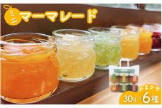 ミニマーマレード おまかせ6種セット（30g×6） / ジャム オレンジ みかん 柑橘 手づくり ビン 詰め合わせ 食べ比べ 和歌山県 田辺市【ktr020】