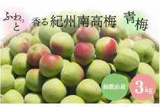 【先行予約】ふわっと香る紀州南高梅　青梅3kg ※2026年5月下旬～7月上旬頃に順次発送予定【期間限定：2026年6月15日まで】 / 和歌山 田辺市 紀州南高梅 南高梅 梅干し 梅干 梅 うめ 青梅 梅シロップ 梅酒 【nok001】