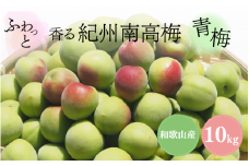 【先行予約】ふわっと香る紀州南高梅　青梅10kg ※2026年5月下旬～7月上旬頃に順次発送予定【期間限定：2026年6月15日まで】 / 和歌山 田辺市 紀州南高梅 南高梅 梅干し 梅干 梅 うめ 青梅 梅シロップ 梅酒 【nok003】