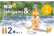 梅酒 ishigami&（イシガミアンド）（うめ） 600ml×2本 / 梅干し 梅干 梅 うめ 炭酸割り ロック 和歌山 田辺市 紀州産 南高梅 完熟梅 フルーツ【isg042】