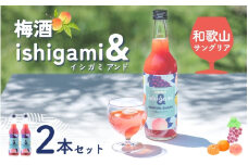 梅酒 ishigami&（イシガミアンド）（和歌山サングリア） 600ml×2本 /  赤ワイン レモン 温州みかん 桃 梅干し 梅 うめ 炭酸割り 食前酒 食中酒 ロック 和歌山 田辺市 紀州産 南高梅 完熟梅 フルーツ【isg044】