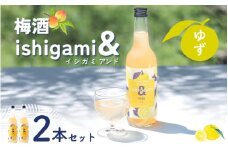 梅酒 ishigami&（イシガミアンド）（ゆず） 600ml×2本 /  ゆず 柚子 梅干し 梅 うめ 炭酸割り ロック 和歌山 田辺市 紀州産 南高梅 完熟梅 フルーツ 【isg045】