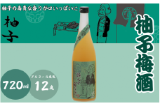 柚子梅酒 720ml 12度 / 和歌山 田辺市  紀州南高梅 南高梅 梅 梅酒 ロック  ソーダ割り ギフト 家飲み 酒 お酒 水割り ギフト プレゼント 富田の水 モンドセレクション ゆず ばばあの梅酒【dnm007】