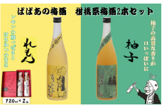 ばばあの梅酒　柑橘系梅酒2本セット（檸檬梅酒 12度・柚子梅酒 12度） 各720ml / 和歌山 田辺市  紀州南高梅 南高梅 梅 梅酒 ロック  ソーダ割り ギフト 家飲み 酒 お酒 水割り ギフト プレゼント 富田の水 モンドセレクション ばばあの梅酒 れもん レモン ユズ 柚子【dnm018】