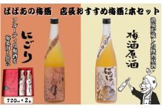 ばばあの梅酒　店長おすすめ梅酒2本セット（にごり梅酒 12度・梅酒原酒 20度） 各720ml  / 和歌山 田辺市  紀州南高梅 南高梅 梅 梅酒 ロック  ソーダ割り ギフト 家飲み 酒 お酒 水割り ギフト プレゼント 富田の水 モンドセレクション ばばあの梅酒 にごり酒 原酒 【dnm020】
