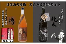 ばばあの梅酒　大人の梅酒2本セット（樽仕込み梅酒 20度・純米梅酒 13度） 各720ml  / 和歌山 田辺市  紀州南高梅 南高梅 梅 梅酒 ロック  ソーダ割り ギフト 家飲み 酒 お酒 水割り ギフト プレゼント 富田の水 モンドセレクション ばばあの梅酒 樽仕込み 純米黒牛梅酒 【dnm021】