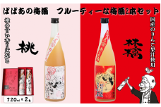 ばばあの梅酒　フルーティな梅酒2本セット（桃梅酒 12度・林檎梅酒 12度） 各720ml  / 和歌山 田辺市  紀州南高梅 南高梅 梅 梅酒 ロック  ソーダ割り ギフト 家飲み 酒 お酒 水割り ギフト プレゼント 富田の水 モンドセレクション ばばあの梅酒 モモ 桃 リンゴ りんご【dnm023】