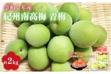 【2025年分先行予約】紀州南高梅　青梅 2kg（サイズ混合）※2025年5月下旬～順次発送予定 / 10000円 1万円 田辺市 果物 果実 くだもの かじつ 梅 生梅 梅干し うめぼし 梅酒 梅ジュース 梅シロップ 手作り 自家製 新鮮 収穫日発送 【sny001】