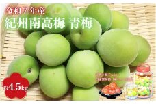 【2025年分先行予約】紀州南高梅　青梅 4.5kg（サイズ混合）※2025年5月下旬～順次発送予定 / 20000円 2万円 田辺市 果物 果実 くだもの かじつ 梅 生梅 梅干し うめぼし 梅酒 梅ジュース 梅シロップ 手作り 自家製 新鮮 収穫日発送 【sny002】