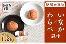 紀州産南高梅 わらべ風味といなか風味のセット 計1.2kg (600g×2種) 木箱/ 梅干し 梅干 梅 和歌山 田辺 紀州南高梅 南高梅 かつお昆布だし お試し 出汁 磯塩 防腐剤不使用 ご飯のお供 スポーツ 運動 塩分補給【wrb009-1】