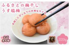 【紀州南高梅】ふるさとの梅干し うす塩梅 220g / 和歌山 田辺 紀州 南高梅 お試し 試食 初めて 味見 特選 国産 おにぎり お弁当 免疫 塩分補給  【nmn001】