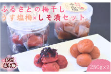 【紀州南高梅】ふるさとの梅干し うす塩梅×しそ漬セット 250g×2 / 和歌山 田辺 紀州 南高梅 お試し 試食 初めて 味見 特選 国産 おにぎり お弁当 二種 500g  免疫 塩分補給 【nmn002】