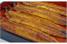【3カ月定期便】 国産うなぎ蒲焼 大サイズハーフカット（頭尾なしで1袋70g以上）5袋セット×3回 / 国産うなぎ 国産鰻 うなぎ 鰻 定期便 鰻丼 うな丼 土用の丑の日  田辺市 国産  【ots035-tk】