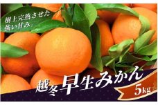 【先行予約】 完熟 越冬早生みかん5kg 【秀品】 （2025年1月以降順次発送予定） / 早生みかん 早生 ミカン 柑橘 フルーツ 果物 紀州産 和歌山県【tcs007】