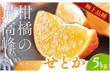 ＼数量限定／ 露地栽培のせとか 5kg （順次発送可能です） / せとか 柑橘の大トロ 高級 ブランド 希少なせとか 品種 和歌山蜜柑 和歌山ミカン 高級みかん 人気みかん 果物 くだもの フルーツ 柑橘 蜜柑 産地直送 国産 和歌山 【tcs009】