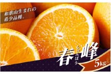 【先行予約】 和歌山発の新品種！ 春峰 5kg 和歌山の希少柑橘 （2025年2～3月頃から順次発送予定）（しゅんぽう/はるかぜ） / 清見オレンジと文旦 みかん 和歌山蜜柑 和歌山ミカン 高級みかん 人気みかん みかんランキング 果物 くだもの フルーツ 柑橘 蜜柑 産地直送 国産 和歌山 【tcs010】