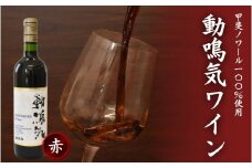 動鳴気ワイン 720ml / 田辺市 赤ワイン 葡萄酒 お酒 アルコール 宅飲み 家飲み 甲斐ノワール ギフト プレゼント 贈り物 贈答 お祝い 記念日 誕生日 ディナー パーティー ご褒美 日本ワイン 国産【kkb009】