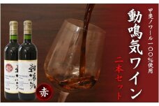 動鳴気ワイン 2本セット 720ml×2本 / 田辺市 赤ワイン 葡萄酒 お酒 アルコール 宅飲み 家飲み 甲斐ノワール フランス産 オーク樽仕込み ギフト プレゼント 贈り物 贈答 お祝い 記念日 誕生日 ディナー パーティー ご褒美 日本ワイン 国産【kkb011】