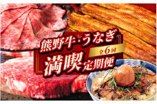 【6カ月定期便】＼新登場／ 紀州の熊野牛とうなぎ 満喫定期便（ヒレステーキ ローススライス 鰻蒲焼き等）  / 牛肉 高級和牛 ブランド牛 肉 鰻 ウナギ セット 6回 6カ月 お取り寄せ グルメ 和歌山 田辺市 定期便【tnb007】