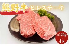 ＜熊野牛＞ヒレステーキ　約120g×4枚 / 和歌山 田辺市 本宮 肉 牛肉 熊野牛 和牛 ヒレ ステーキ 豪華 冷凍 ギフト 贈答【hcy011】