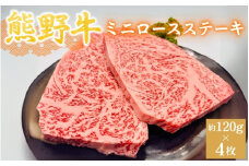 ＜熊野牛＞ミニロースステーキ　約120g×4枚 / 和歌山 田辺市 本宮 肉 牛肉 熊野牛 和牛 ロース ステーキ 豪華 冷凍 ギフト 贈答【hcy013】