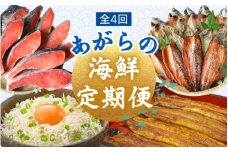 【4カ月定期便】＼新登場／ あがらの海鮮定期便 /  鰻 うなぎ 蒲焼 釜揚げしらす 鮭 さけ しゃけ 干物 ひもの 名産 特産 名物 うな重 しらす丼 おかず おつまみ 魚 魚介 新鮮 海の幸 4回 定期便【tnb009】