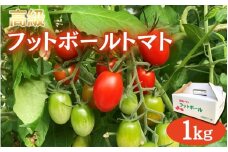 高級 フットボールトマト 1kg ※12月上旬～2025年5月中旬まで順次発送 / 田辺市 ミニトマト プチトマト フルーツトマト 野菜 やさい 新鮮 おいしい 贈答 贈り物 ギフト プレゼント リコピン ビタミン【kkb012】