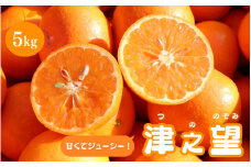 【先行予約】【秀品】 みかん 津之望 5kg 【2025年1月より順次発送】 / みかん ミカン 蜜柑 津之望 和歌山 田辺市 紀州 くだもの 柑橘 フルーツ 【aoi005-1】