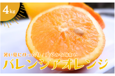 【先行予約】バレンシアオレンジ 4kg 【2025年7月上旬頃より順次発送】 / みかん ミカン 蜜柑 バレンシアオレンジ オレンジ 和歌山 田辺市 紀州 くだもの 柑橘 フルーツ 【aoi009】