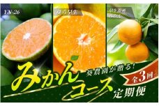 【先行予約】 【全3回定期便】紀州葵農園が贈る！ 秋のこだわりみかんコース 【秀品】 （ゆら早生・早生温州・YN-26 各5kgずつ） サイズ混合 ※2025年9月より3回お届け / みかん 定期便 柑橘 ゆら早生 温州みかん フルーツ 早生みかん ミカン 和歌山 果物 田辺市 くだもの【aoi022-tk】