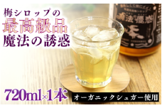 【数量限定予約販売】 魔法の優惑　720ml ※8月上旬より順次発送 / 梅シロップ オーガニックシュガー 南高梅 有機栽培 紀州南高梅 無添加 健康 希釈 シロップ【ntn002】