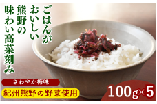 ごはんがおいしい！熊野の味わい高菜刻み 【さわやか梅味】 100g×5袋セット / 梅 うめ 高菜漬け 田辺市 漬物 つけもの 健康 和歌山 醤油 野菜 ご飯のおとも【kms024】