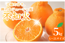 紀州田辺の 不知火 5kg（2025年3月頃から順次発送予定） / デコポン でこぽん みかん 柑橘 和歌山 みかんランキング 果物 くだもの フルーツ 柑橘 産地直送 国産 和歌山 【tcs017】