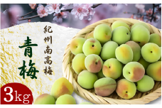 【先行予約】 青梅【紀州南高梅】 3kg（2025年5月～6月以降順次発送予定） / 生梅 梅干し 梅酒 梅ジャム 梅シロップ 産地直送 国産 和歌山 【tcs021】