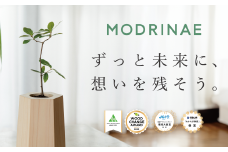 【どんぐりを育て、森に返す】 戻り苗 （ヒノキの鉢タイプ） 1セット ※2025年秋頃から配送 / 観葉植物 苗 苗木 植物 育苗 鑑賞 鉢植え 和歌山 どんぐり 紀州材 檜 ソマノベース 森【smn001】