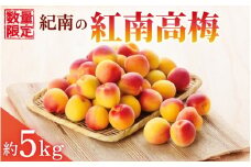 【2025年分予約】紀南の紅南高梅（2L～3Lサイズ）約5kg※2025年6月上旬～中旬頃順次発送予定 / 田辺市 果物 果実 くだもの かじつ 梅 青梅 生梅 梅干し うめぼし 梅酒 梅ジュース 梅シロップ 手作り 自家製 新鮮 【okw001】